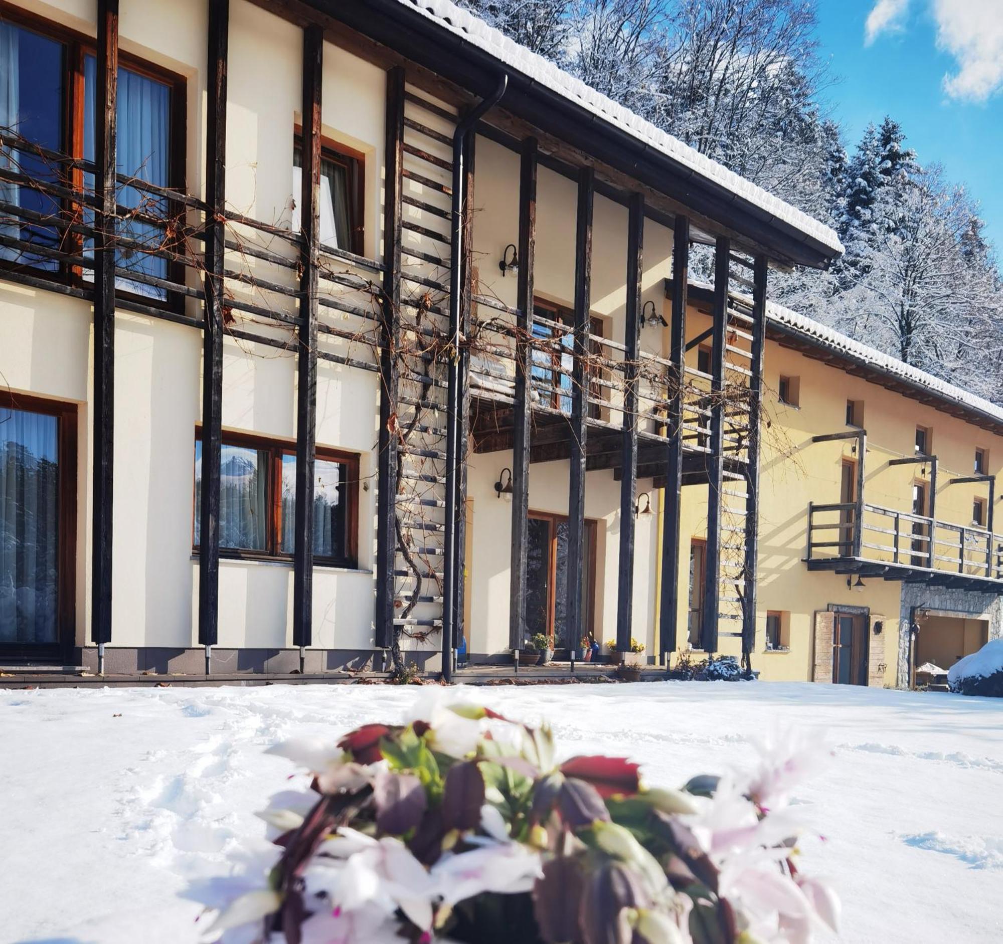 Апартаменты Posestvo Laz - The Laz Estate Voglarji Экстерьер фото